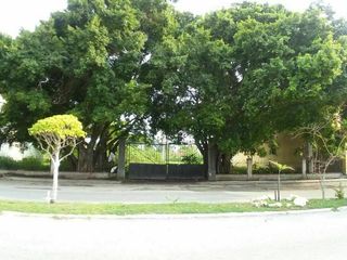 TERRENO EN RENTA AV. CASTELLOT EN CD. DEL CARMEN