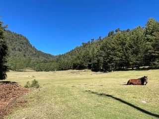 Terreno en venta en Los Saucos, Valle de bravo