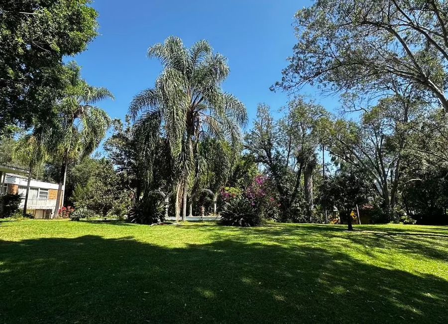 place photo 12