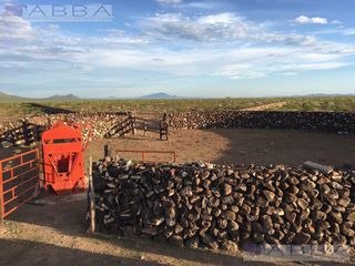 Finca - Chihuahua