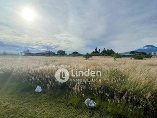 TERRENO EN VENTA EN TENEXTEPEC, ATLIXCO, PUEBLA.