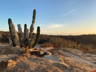 Terreno en Venta Rolling Hills, en  Cabo San Lucas