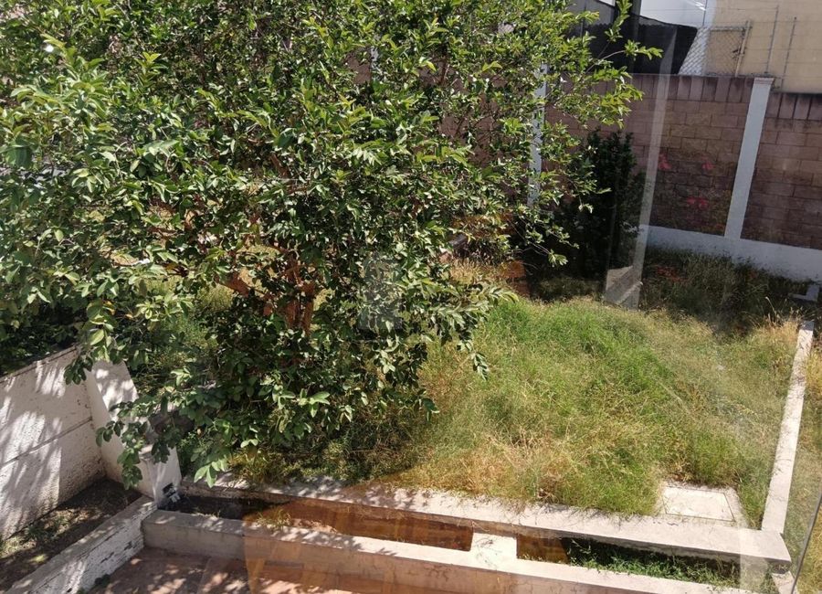 place photo 41