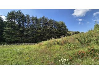 TU REFUGIO EN EL BOSQUE || TERRENO EN VENTA VALLE DE BRAVO