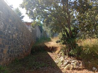 Terreno en venta en Pátzcuaro, Michoacán. Inversión con gran potencial en zona turística - (3)