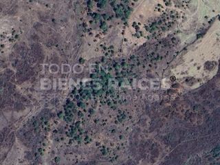 TERRENO EN VENTA EN TEMASCALTEPEC