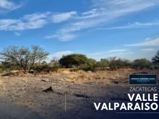 Terreno en venta en Ejidal, Guadalupe, Zacatecas