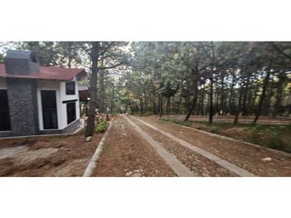 Bonito terreno en zona de bosque de mazamitla jalisco