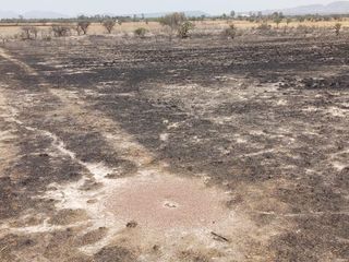 Terreno en Ejido de Cedazo, Aguascalientes