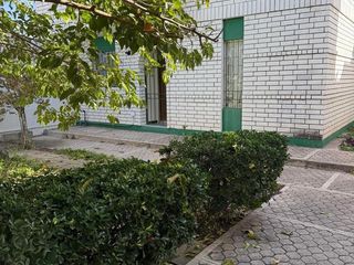 CONJUNTO DE DEPARTAMENTOS EN COL. ZARCO