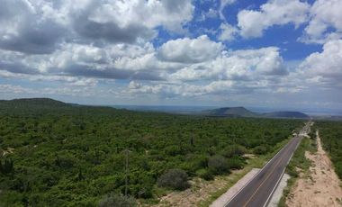 TERRENO EN VENTA  CARRETERA LOS PLANES