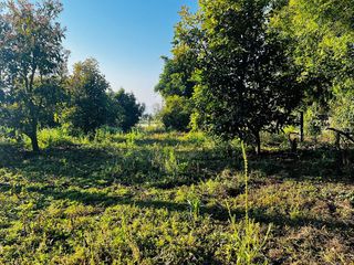 Terreno en venta en Las Mesas
