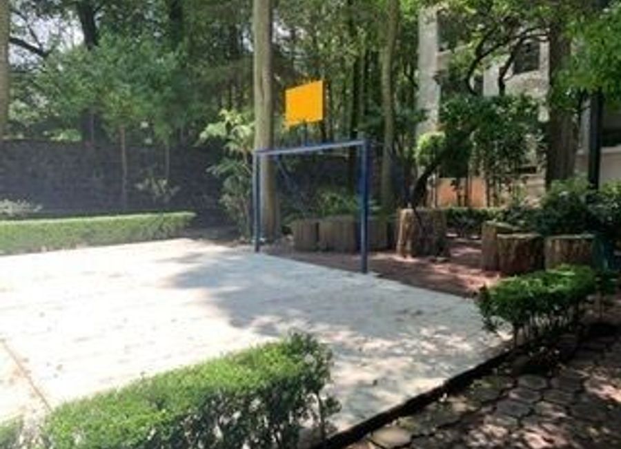 place photo 19