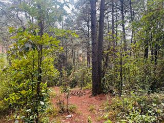 Terreno en venta en Cerro Colorado