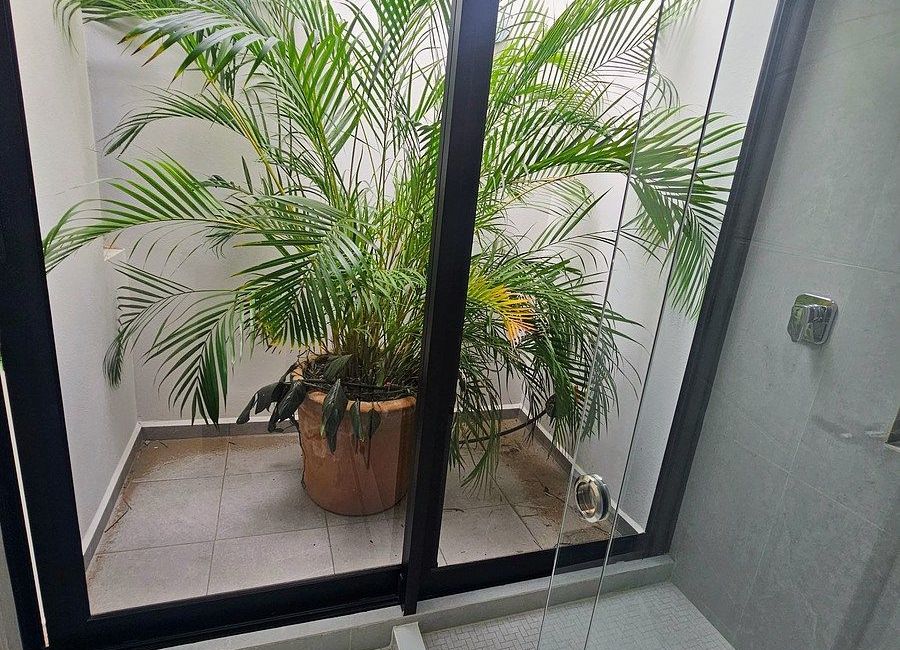place photo 46