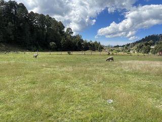 Terreno en venta en Los Saucos