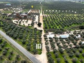 Terreno en venta Frente a Sassi del Valle, 1.55 Ha Valle de Guadalupe