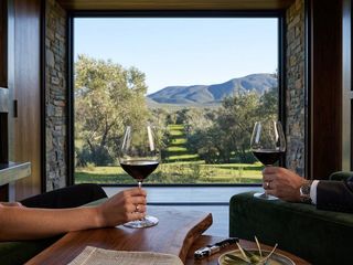 Terrenos en venta de 3300 m2, dentro del bosque de olivos en Valle de Guadalupe
