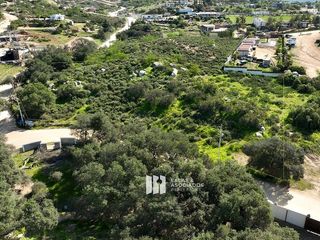 VENTA DE TERRENO DE 5,000 M² CON ESPECTACULAR VISTA AL VALLE DE GUADALUPE