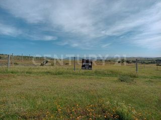 Venta Terreno, con servicio de luz y drenaje a pie de calle, Zona Valsequillo