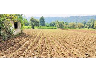 TERRENO EN PIPIOLTEPEC,VALLE DE BRAVO