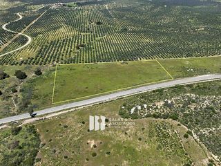 Venta de Terreno de 5.0 Ha Frente a Carretera Principal - Valle de Guadalupe