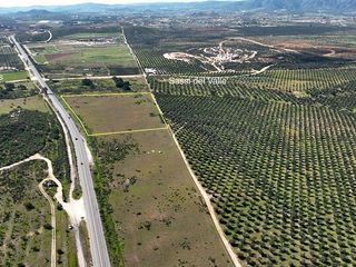 VENTA DE 4 HECTÁREAS FRENTE A SASSI DEL VALLE. VALLE DE GUADALUPE
