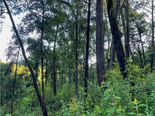 TERRENO EN VENTA || CERRO GORDO ||VALLE DE BRAVO || AVANDARO