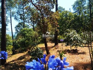 TERRENO EN VENTA EN LA CANDELARIA, VALLE DE BRAVO