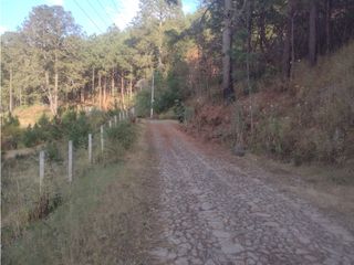Bonito Terreno amplio en zona de Bosque de Mazamitla Jalisco