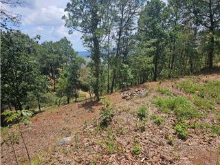 Bonito terreno en zona de bosque de mazamitla jalisco