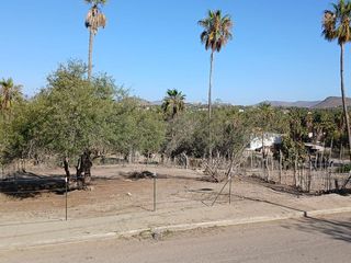 Terreno en Renta Todos Santos