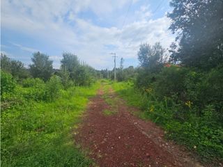 Bonito terreno en zona céntrica de mazamitla, jalisco