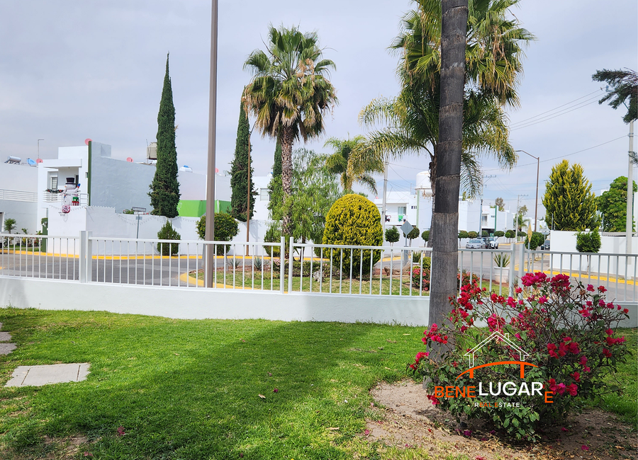 place photo 26
