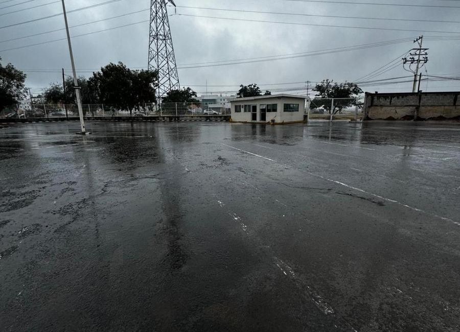 place photo 26
