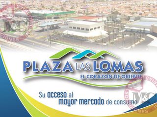 Locales en Renta, Plaza comercial al Oriente, Aguascalientes.