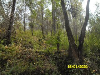 Terreno - Temascaltepec