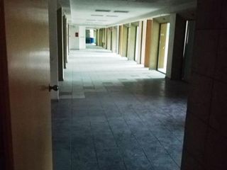 RECIÉN RE MODELADA AMPLIA ILUMINADA OPCIÓN A SUBDIVISIÓN