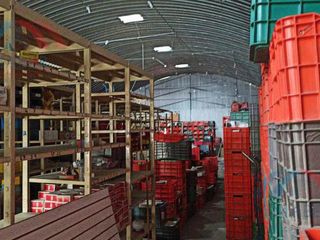Bodega Industrial - El Cerrito