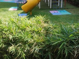 Departamento - Polanco