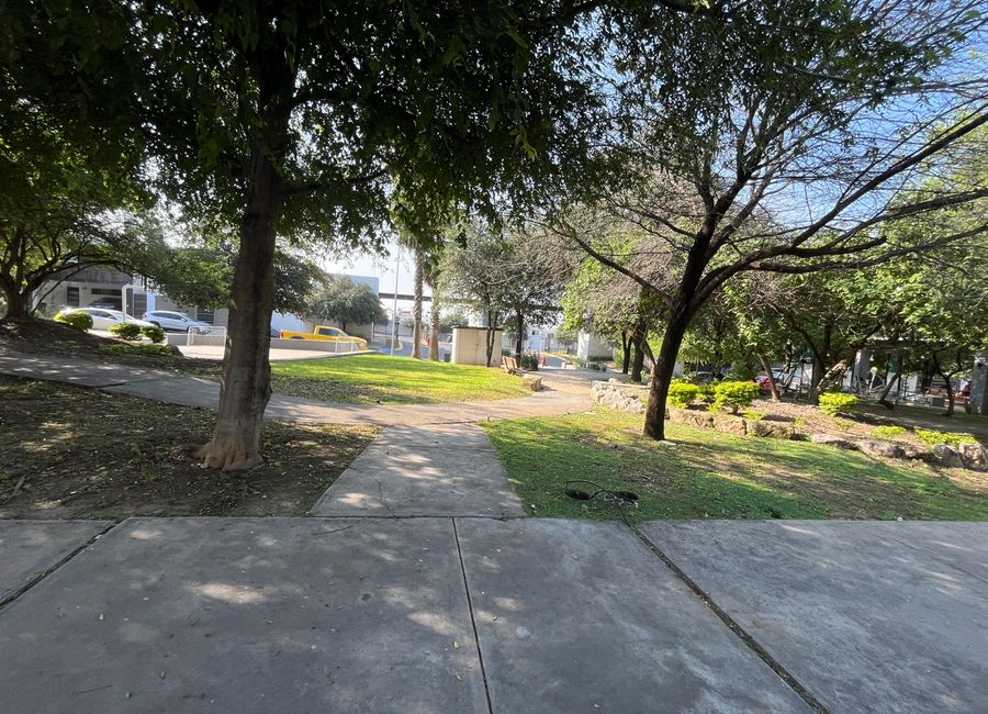 place photo 29