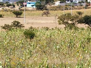 Terreno Comercial en venta, carretera 57 hacia San Luis Potosi, 10,000mts Excele