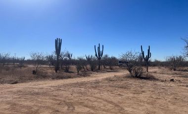 TERRENO EN VENTA LA PASION