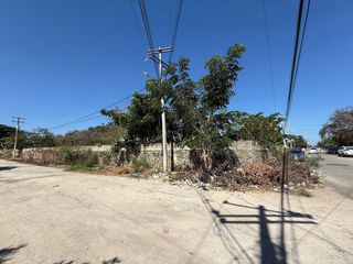 TERRENO EN VENTA UBICADO EN EL ROBLE AGRÍCOLA