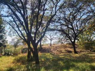SE VENDE EXCELENTE TERRENO PASEOS DE SAYAVEDRA