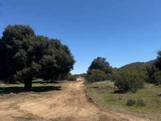 RANCHO MIRANDA, LAS JUNTAS, TECATE | TERRENOS EN VENTA