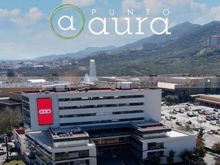 Punto Aura