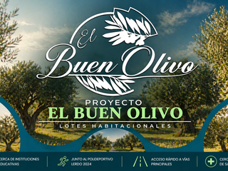 TERRENO RESIDENCIAL EN EL BUEN OLIVO, LERDO DURANGO.