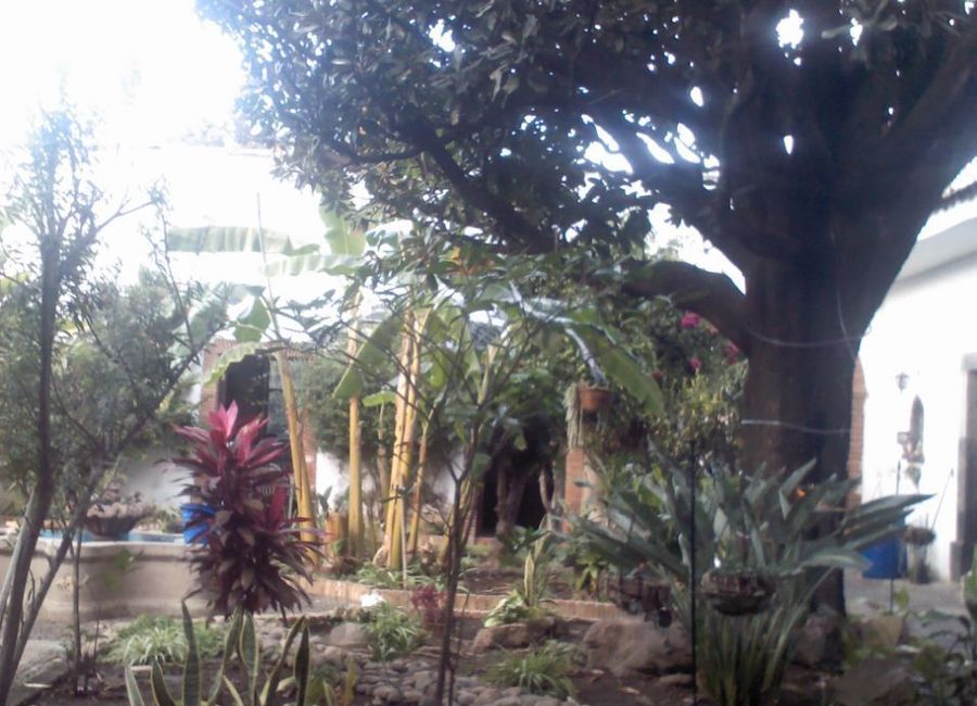 place photo 7
