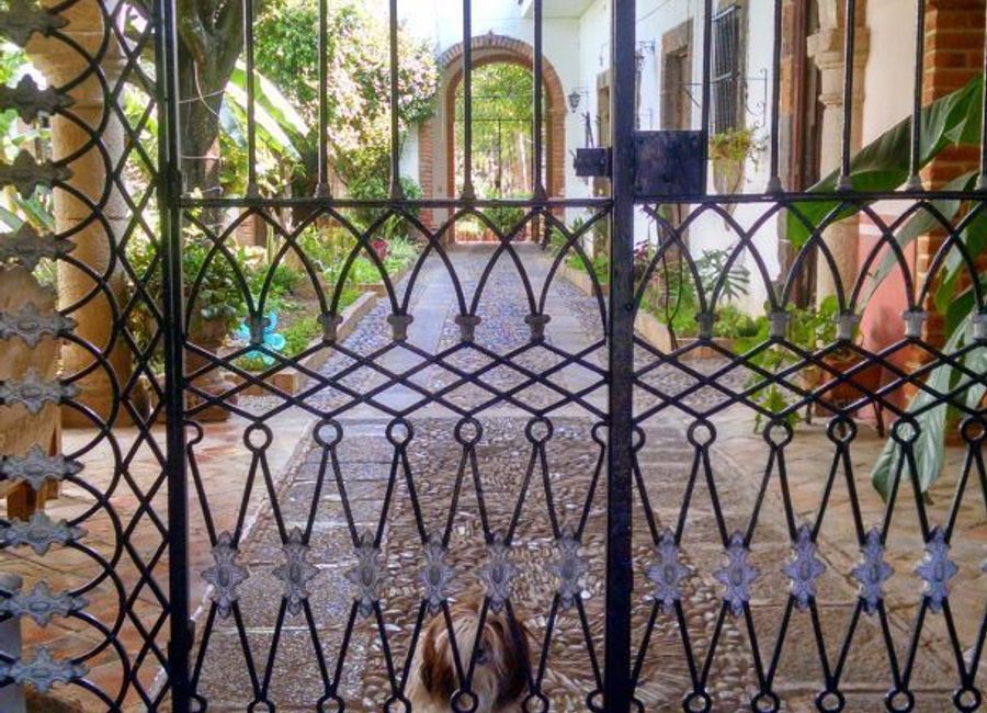place photo 8
